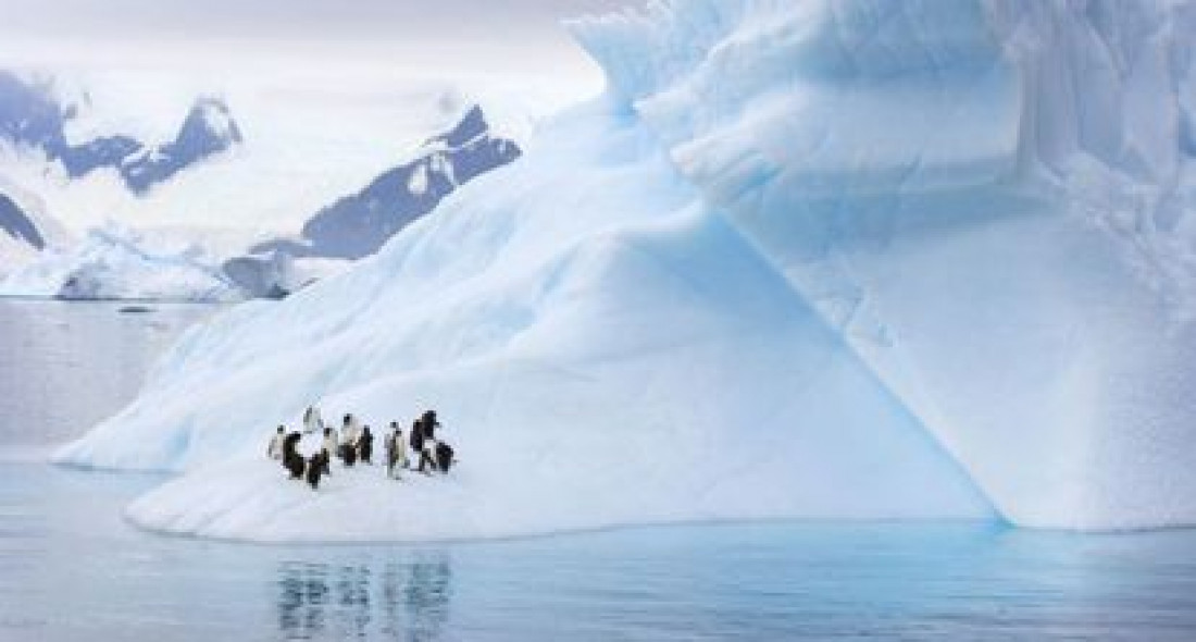 Cómo la reducción de los glaciares antárticos puede causar suba del nivel de océanos