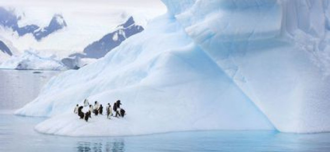 Cómo la reducción de los glaciares antárticos puede causar suba del nivel de océanos
