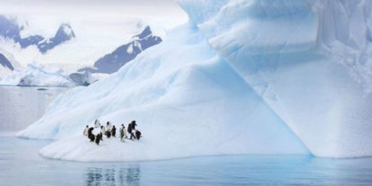 Cómo la reducción de los glaciares antárticos puede causar suba del nivel de océanos