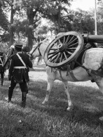 En honor a los soldados desconocidos de San Martín