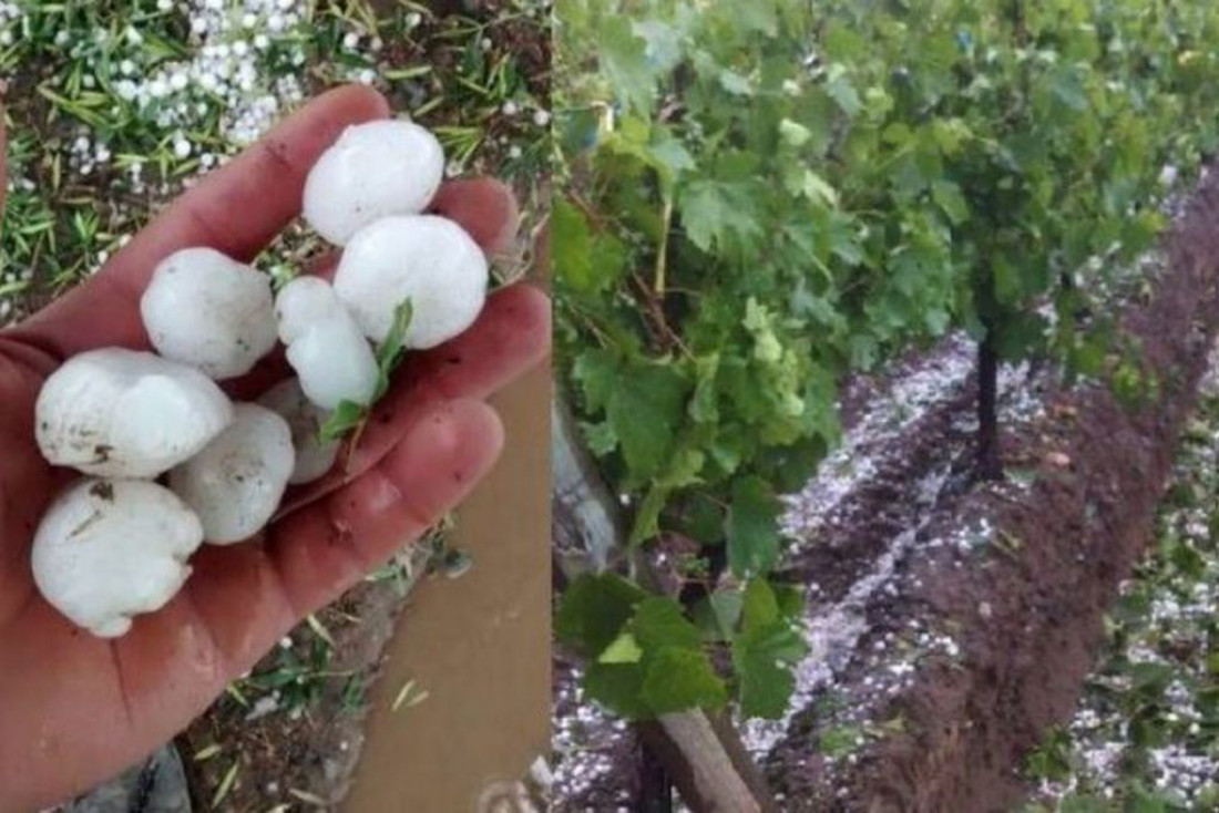 Mendoza incrementó su sistema de lucha antigranizo, ante un año "atípico en materia climática" 