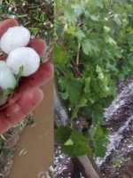 Mendoza incrementó su sistema de lucha antigranizo, ante un año "atípico en materia climática" 
