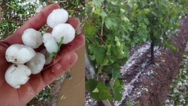 imagen Mendoza incrementó su sistema de lucha antigranizo, ante un año "atípico en materia climática" 