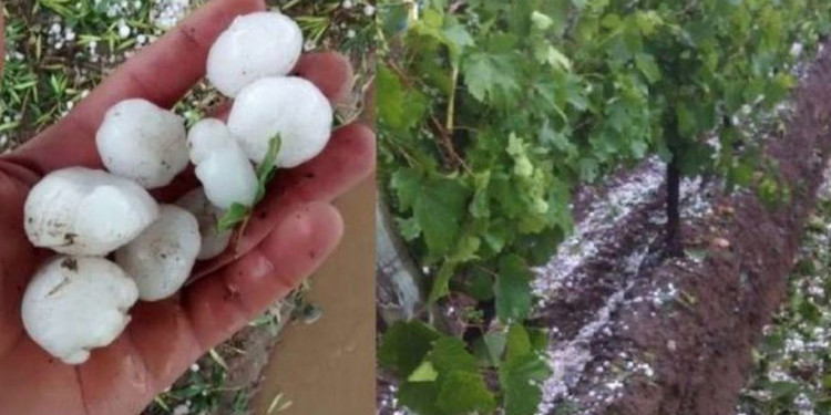 Mendoza incrementó su sistema de lucha antigranizo, ante un año "atípico en materia climática" 