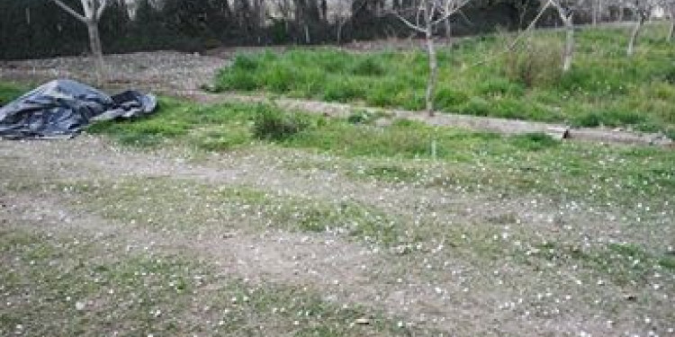 La tormenta no causó tantos daños como se preveía