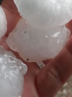 La intensa tormenta causó la caída de árboles y cortes del servicio eléctrico en Mendoza