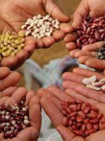 El presente de los Movimiento Nacional Campesino Indígena de Argentina