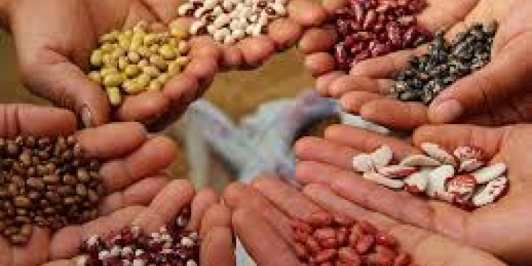 El presente de los Movimiento Nacional Campesino Indígena de Argentina