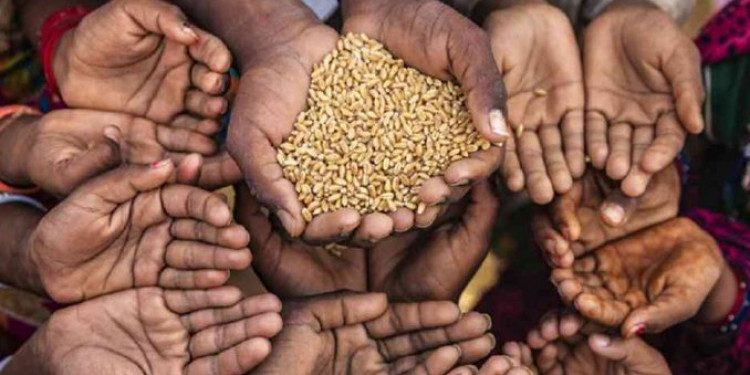 La ONU alertó que "si no hay una reacción urgente" crecerá el hambre extremo en 20 países
