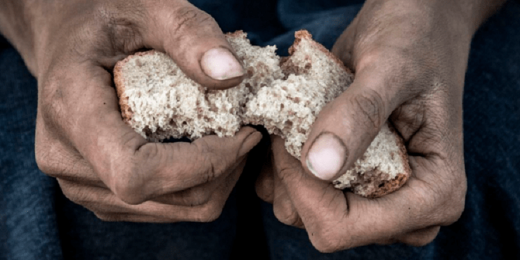Crisis alimentaria mundial: el hambre afecta a 56,5 millones de personas en Latinoamérica