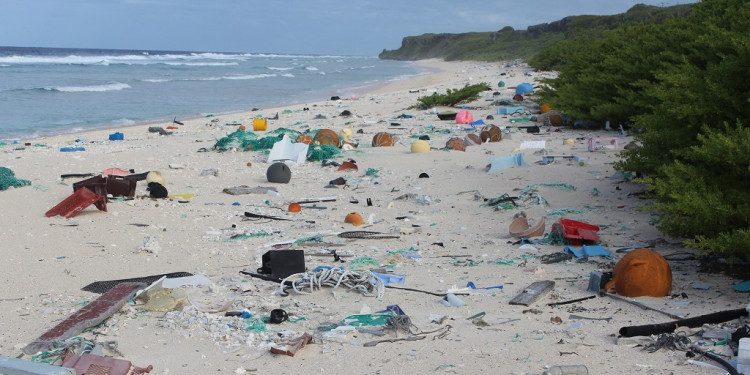 No es la Bristol, es la playa Henderson 