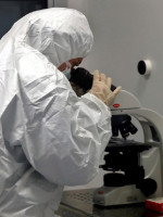 La OMS registró más de 230 casos de una misteriosa hepatitis que afecta a niños y niñas