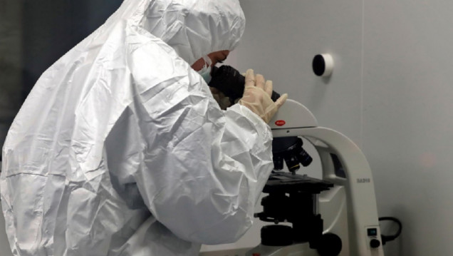 imagen La OMS registró más de 230 casos de una misteriosa hepatitis que afecta a niños y niñas