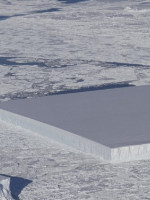 Detectaron un iceberg perfectamente rectangular en la Antártida