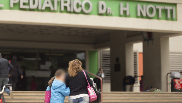 imagen La Dinaf intervino para proteger a los hijos de la mujer asesinada 