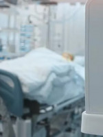 Debate bioético: una investigación propone gestar en el cuerpo de mujeres con muerte cerebral