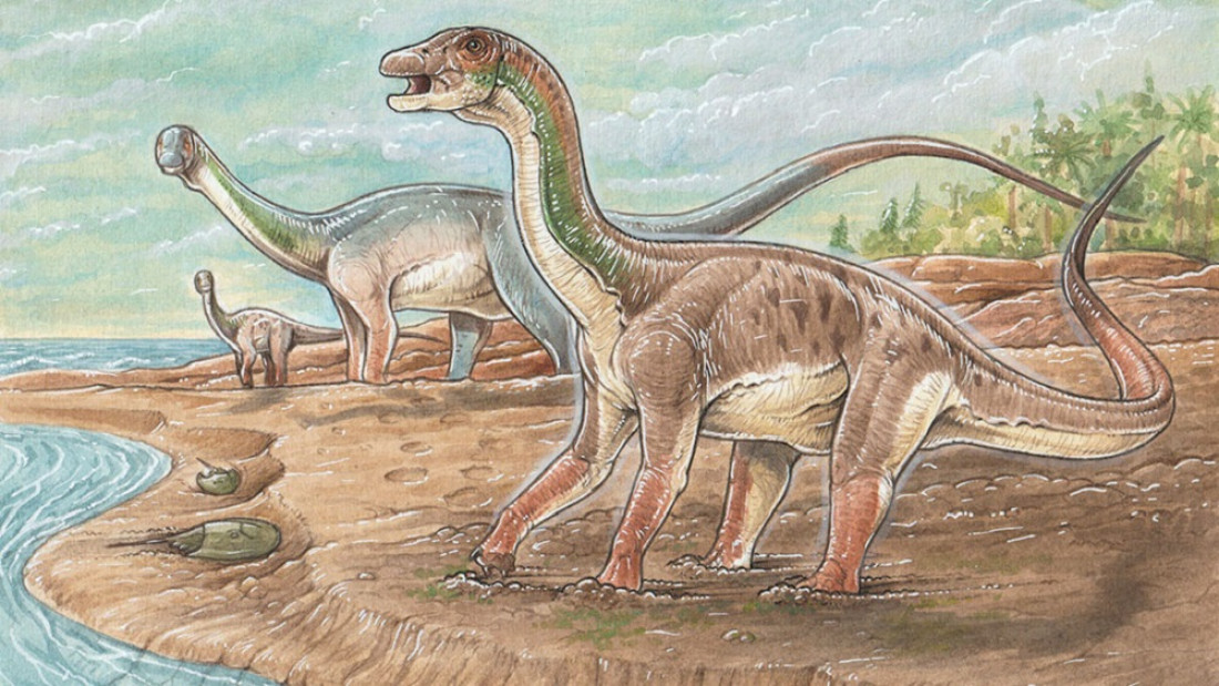 Descubren por primera vez huellas de "patinadas" de dinosaurios de 130 millones de años en Neuquén
