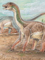 Descubren por primera vez huellas de "patinadas" de dinosaurios de 130 millones de años en Neuquén