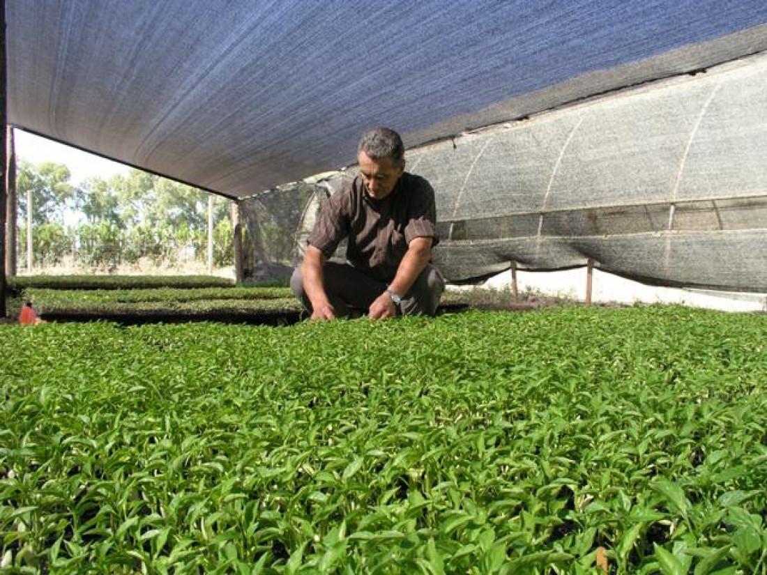 Agroecología y sus dos ganancias: cuidar el planeta y lograr la autonomía