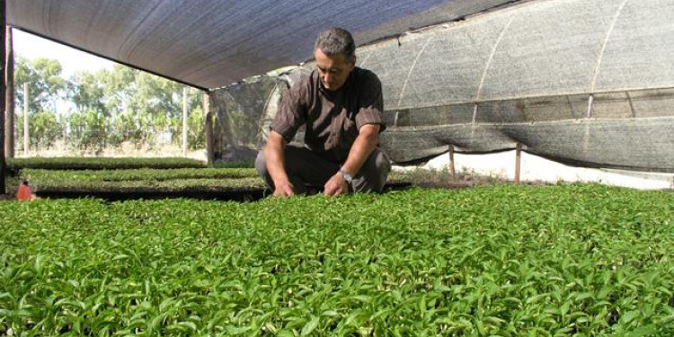 Agroecología y sus dos ganancias: cuidar el planeta y lograr la autonomía