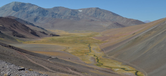 Presentaron un mapa on line que identifica todos los humedales de la Argentina