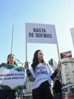 Los imparables incendios en el Paraná empujaron un acuerdo para empezar a debatir la Ley de Humedales