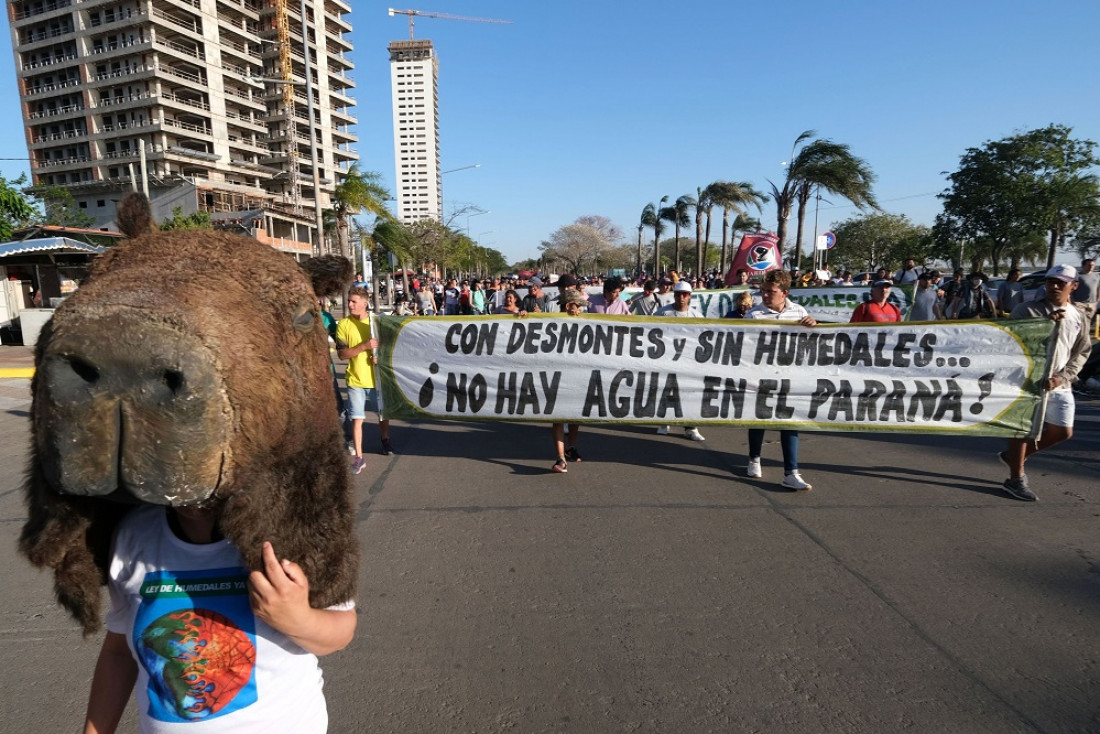 Los detalles del nuevo proyecto de Ley de Humedales que llegó al Congreso