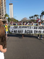 Los detalles del nuevo proyecto de Ley de Humedales que llegó al Congreso