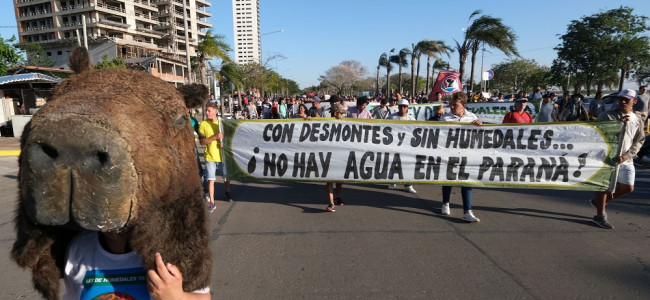 Los detalles del nuevo proyecto de Ley de Humedales que llegó al Congreso