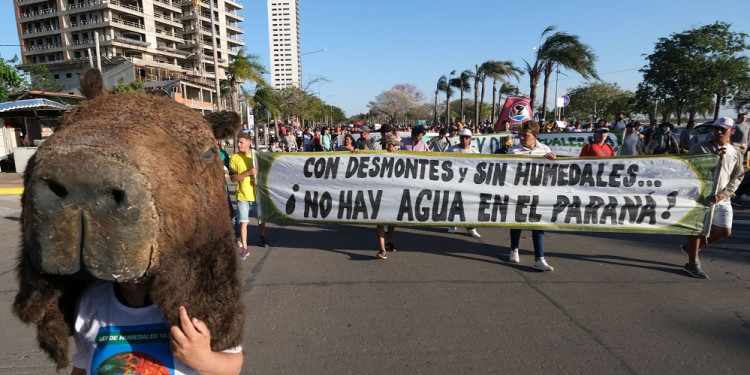 Los detalles del nuevo proyecto de Ley de Humedales que llegó al Congreso