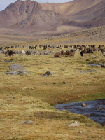 Elaboran guías de buenas prácticas para el manejo y cuidado de los humedales del país