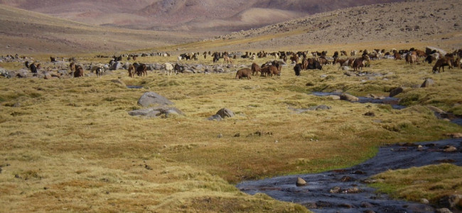 Elaboran guías de buenas prácticas para el manejo y cuidado de los humedales del país