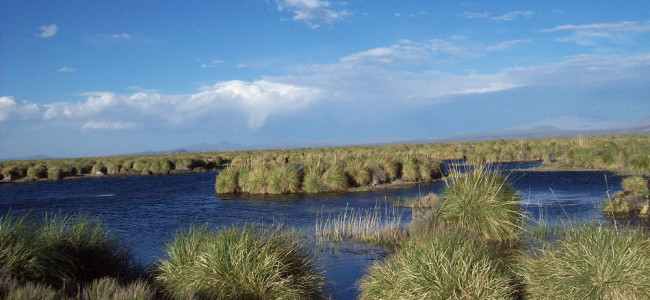 Humedales: los ecosistemas del país, sin protección legal a la vista