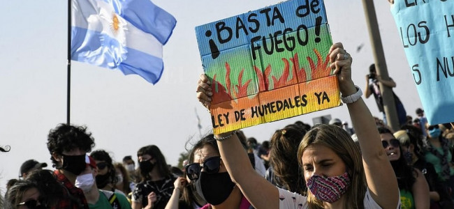 Se posterga el debate de la Ley de Humedales "para reunir los mayores respaldos posibles"