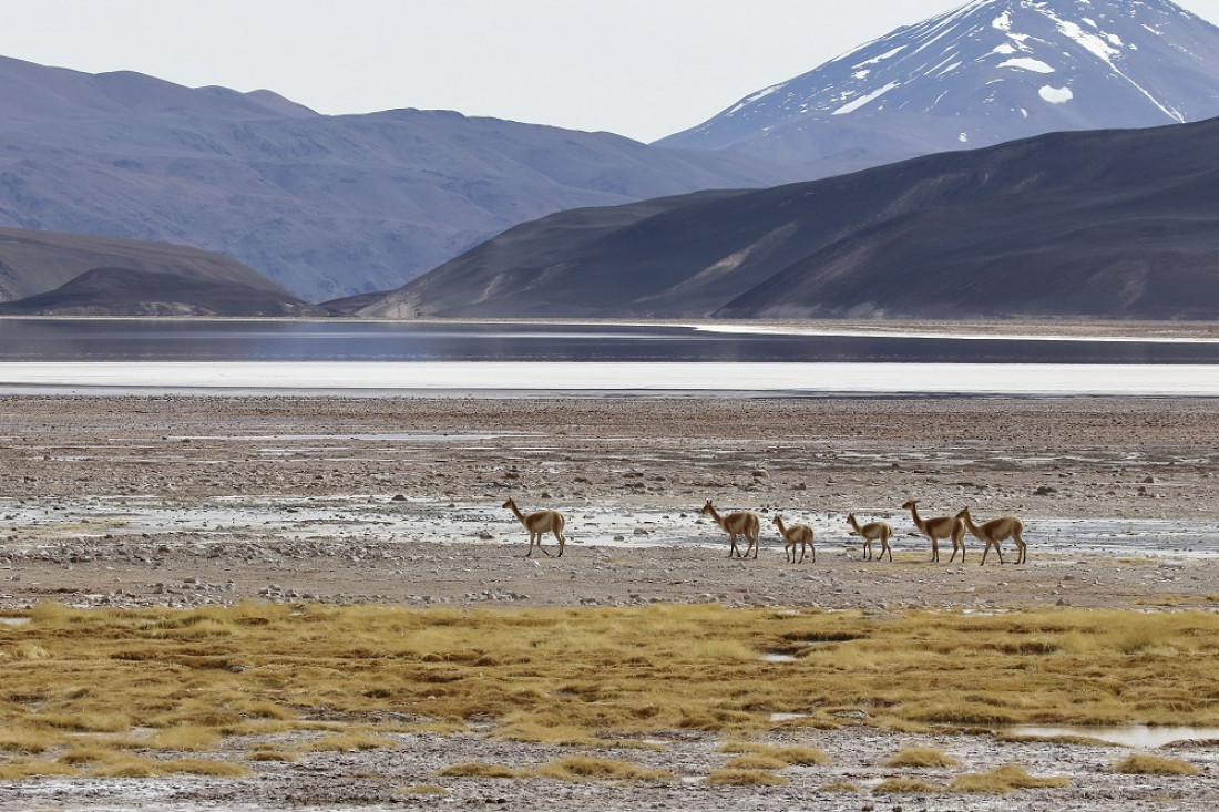 Advierten que más del 35% de los humedales del mundo desaparecieron en los últimos 50 años