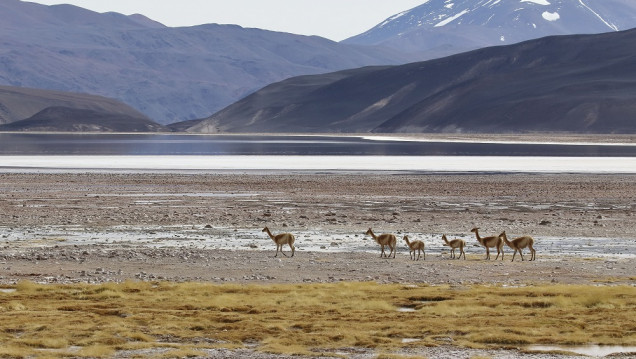 imagen Advierten que más del 35% de los humedales del mundo desaparecieron en los últimos 50 años