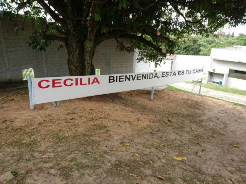 imagen La mona Cecilia llegó al santuario de Brasil
