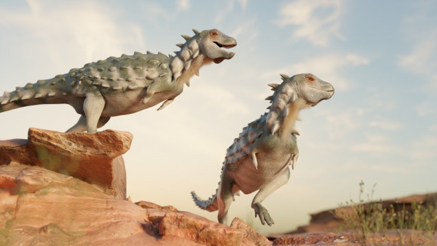 imagen Jakapil kaniukura, el primer dinosaurio bípedo y acorazado de Sudamérica descubierto en la Patagonia 