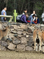 Preocupa el estado  del Zoo Mendocino