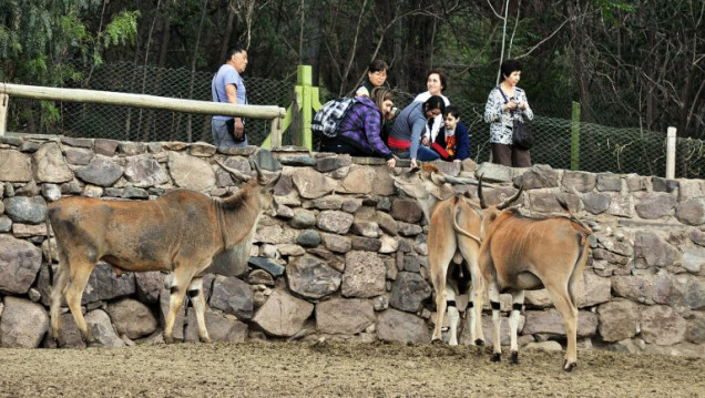 imagen Preocupa el estado  del Zoo Mendocino