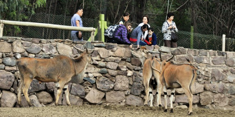 Preocupa el estado  del Zoo Mendocino