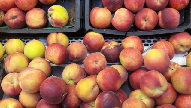 imagen Frutas de carozo: mapa interactivo para saber dónde comprar