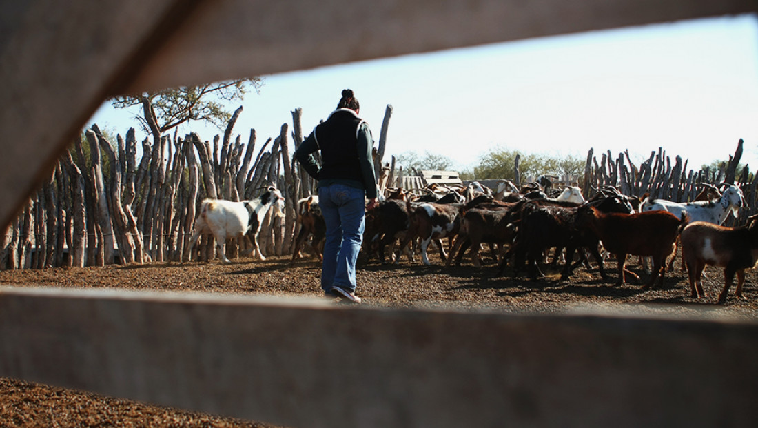 Las organizaciones de agricultura  familiar reclaman la Ley de Freno de Desalojos 