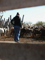 Las organizaciones de agricultura  familiar reclaman la Ley de Freno de Desalojos 