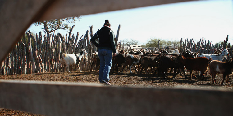 Las organizaciones de agricultura  familiar reclaman la Ley de Freno de Desalojos 