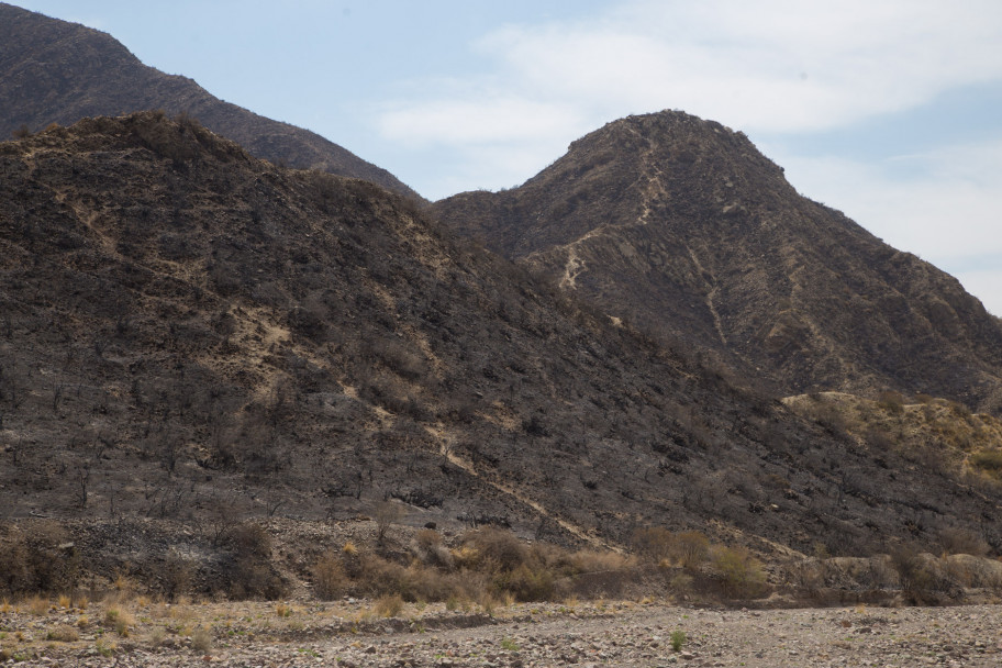 imagen Así quedó el Cerro Arco después del incendio