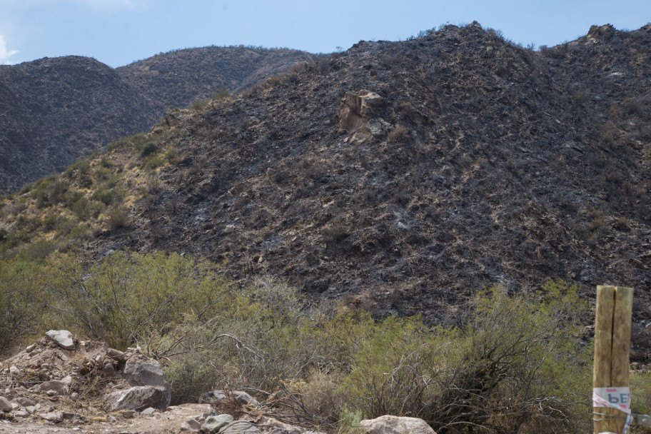 imagen Así quedó el Cerro Arco después del incendio