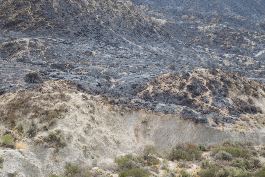 imagen Así quedó el Cerro Arco después del incendio