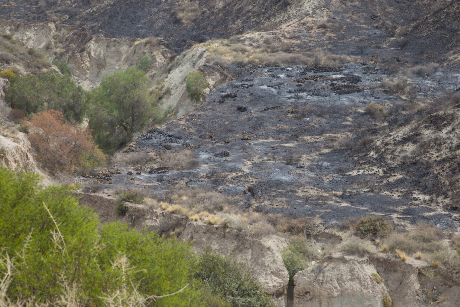 imagen Así quedó el Cerro Arco después del incendio