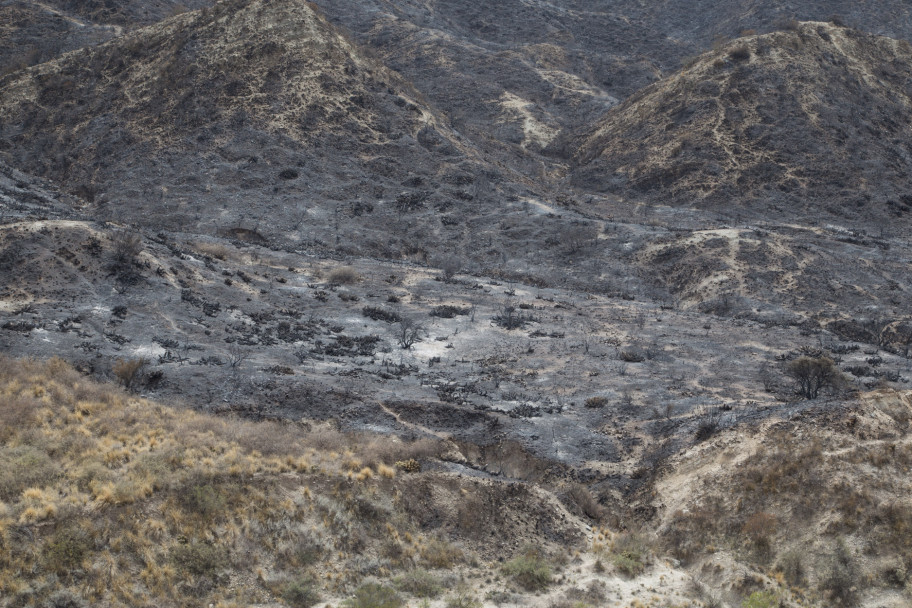 imagen Así quedó el Cerro Arco después del incendio